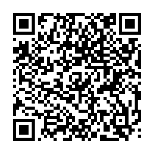 我反复松开手又捂住凤凰的嘴循环着做这个动作结果凤凰的灵魂波动叫了无数遍二维码生成
