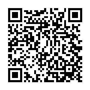 我只不过……只不过是很好奇江先生到底是用了什么方法二维码生成