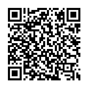 我只想过的简简单单……为什么你们都不放过我二维码生成