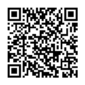 我只是……想把药……亲手交给你……无需你再苦战二维码生成