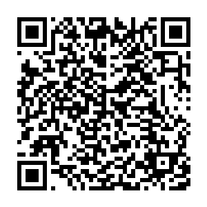 我只是负责陪同这次的商务代表团来神州并且保护他们的安全而已二维码生成