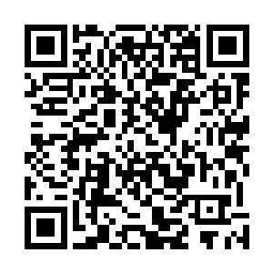 我召集了李庆和和廖氏兄弟还有尸王赵昱商议等下的行动二维码生成