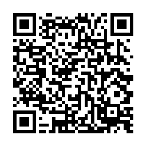 我可不会像撒迦利亚那样……蠢到用本体化身前来找你二维码生成