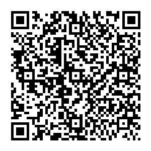 我可不希望你就这样死去……但我已经尽力了……现在我唯一能做的就是利用本体的防御替你阻拦雷劫二维码生成