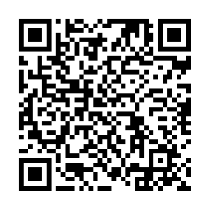 我可不想因为实力被高估而被你们委托无法完成的任务二维码生成