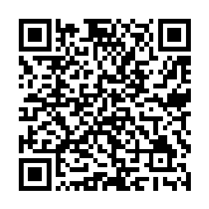 我可不敢保证颜洛儿会不会在生气之下把你们当口粮二维码生成