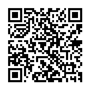 我可不相信眼睛不眨一下就杀了那么多人的修仙者会是什么善茬二维码生成