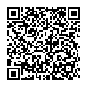 我可以教你们如何在不借助工具的情况下算出一桶屎的平均密度……二维码生成