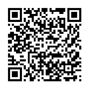 我可以施展无上秘术将守护家族通往外界的出入口给封印二维码生成