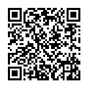 我可以确认他用的绝对是跆拳道而不是什么华夏功夫二维码生成