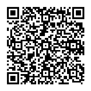 我可以解释一下你为什么不痛不痒……因为这个游戏中的疼痛上限本就是这种程度啊二维码生成