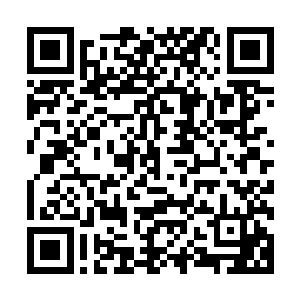 我可以这么简单的和你讲一下我们最为常见的飞机飞行的原理二维码生成