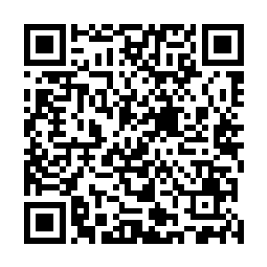 我可以通过丹药和无名师弟的帮忙慢慢地修复体内的经脉二维码生成