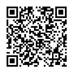 我可是亲眼看到过知州大人在街上遇到济安郡主时下跪行礼的二维码生成