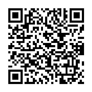 我可是听说了这一次死亡森林里面会出现难得一见的雪狐二维码生成