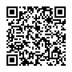 我可是完全由破禁神石经过无数年凝练的精华形成了二维码生成