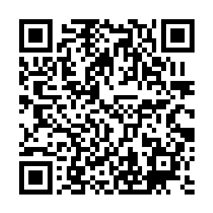我可没办法把你们从政府军的眼皮子底下的机场里弄出来二维码生成
