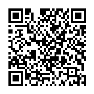我可还记得前几天你们刚申请了一笔钱用于幼儿园的改造二维码生成