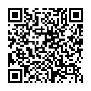 我听宗主说几个月前引动元素潮汐的并不是太夏的诸位皇子二维码生成