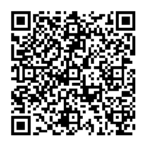 我听着他们的对话再结合查找到的资料总算是将他们三个人之间的死亡之谜解开了二维码生成