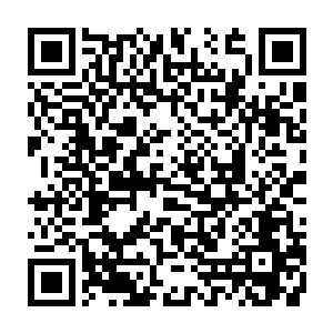 我告诉你吧……那只玻璃种帝王绿的手镯可是拍出了一千九百万的天价啊……二维码生成