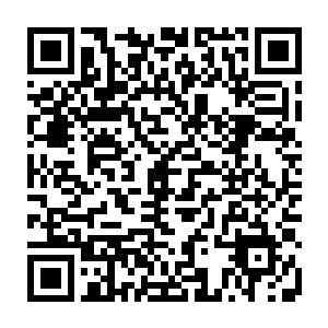 我和仙帝现在对战的动静已经远远超出了当时我跟离天界主对战时的波动二维码生成