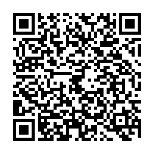 我和奶奶的狼狈模样并没有引起忙的不可开交另加心神惶惶的人们的关注二维码生成