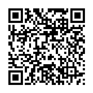 我和我弟弟横跨这么多条试炼之路就是为了寻找那特殊灵石二维码生成