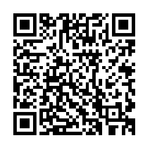 我和我的兄弟们把他们全都杀了个干净什么样的阵仗我没见过二维码生成