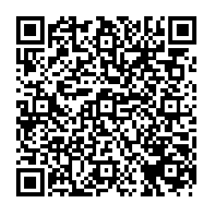 我和父亲暂时在霍普顿区租了一间地下室……是在霍普顿区第六大街的254号公寓楼二维码生成