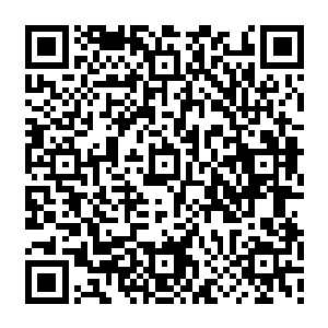 我和秦墨发生争执就是因为上次秦墨在没有征求我的意见之前把我的一切都安排好了二维码生成