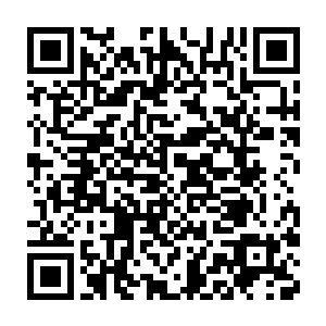 我和紫象皇比起往届中都学府的半生榜第一和第二也是强大不少的二维码生成