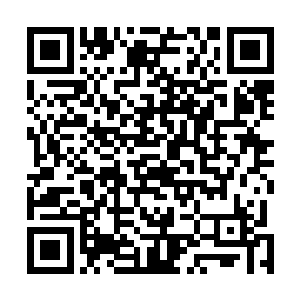 我和芊芊就在那里等着你将傀儡宗和九河宗的弟子引过来二维码生成