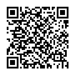 我和须臾叟专门进入了当初你从凡界带来的时空笼区炼制二维码生成