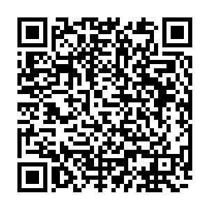 我唯恐我家小舞会傻傻的在得了楚非回音之后会不管不顾从石洞里直奔出来二维码生成