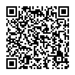 我因为文绉绉的让很多小朋友不敢和我玩的时候也只有苏念白会走过来二维码生成