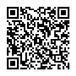 我在一定程度上是为了赚钱赡养爷爷才接受这份工作的二维码生成