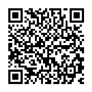 我在我们家道馆　老　老大　你快來　不然你可就见不到我了　二维码生成