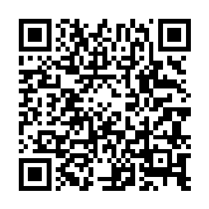 我在整个镇海星域和旧臣势力里选拨了大量有资质的修士二维码生成