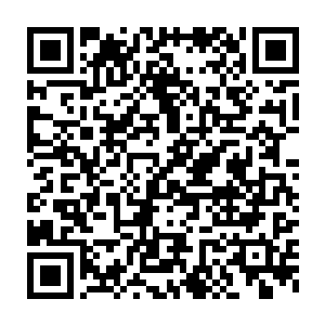 我在查找类似的机械生物体设计蓝图――按照常理它应该在头部――二维码生成