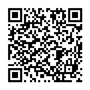 我在此向你蒙氏皇族的任意一位中阶尊者发出生死挑战二维码生成