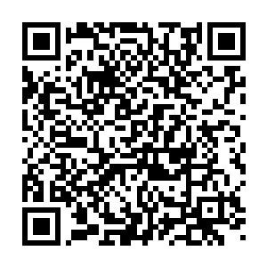 我妈在怀孕的时候就已经……已经死了……那她……是怎么生下我的二维码生成