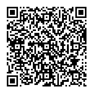 我姐姐的号码是138……我的同学小莉是……我老爸的电话号码是……我老妈的电话号码是……二维码生成