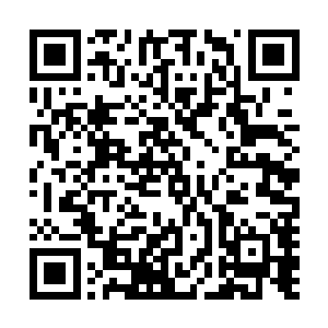 我完全可以依靠时间慢慢去磨……反正我的本体更加等得起二维码生成