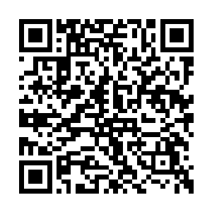 我完全可以凭借这种另类的修炼方式晋升到界主二维码生成