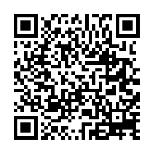 我实在想不出红河门乃至寰宇神界为何会有如此才俊……二维码生成