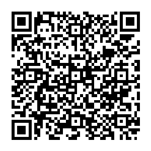 我实在想不明白那些圣王九重天的强者为什么对这个从来没有实现的传说是那么的深信不疑二维码生成