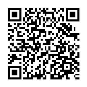 我小时候可不是这样教育你的……你现在的事业发展不是挺好的二维码生成