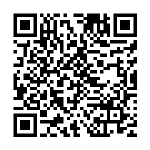 我小时候经常将树木折断了当成刀枪棍棒跟小伙伴们一起玩耍二维码生成