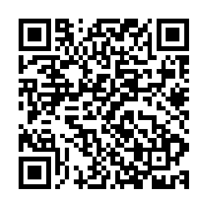 我就不信二弟这样一个干练的人才会拿一个什么孙散曹没办法二维码生成